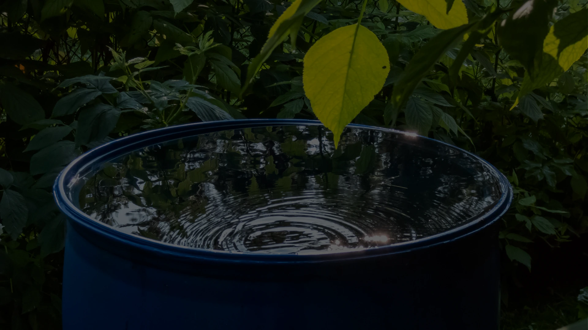 Gestão de Água e ESG: A Importância da Sustentabilidade Hídrica